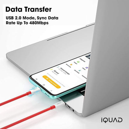 iQUAD 65W Super Fast Charging C to C Cable For Premium Mobiles